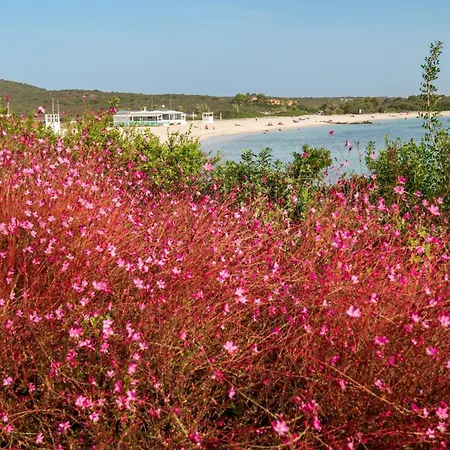 Azul By Klodge * Olbia