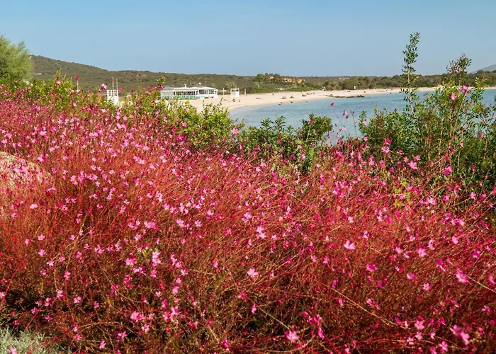Azul By Klodge * Olbia